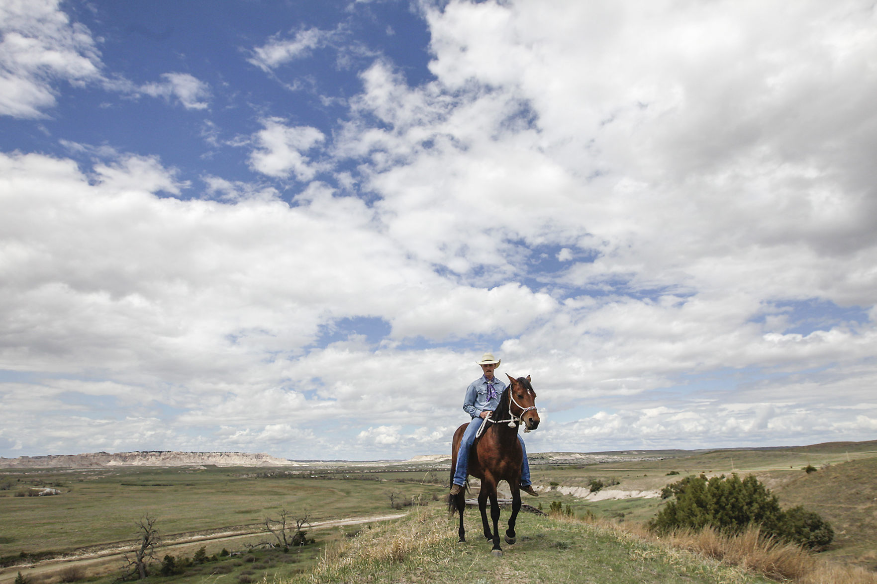 The Rider